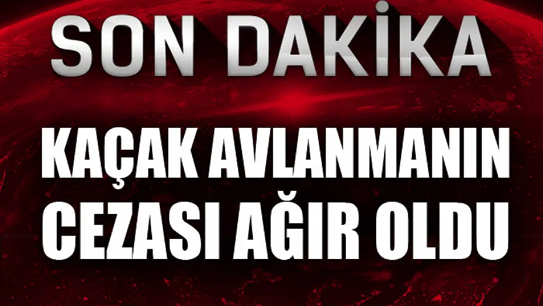 Kaçak avlanmanın cezası ağır oldu