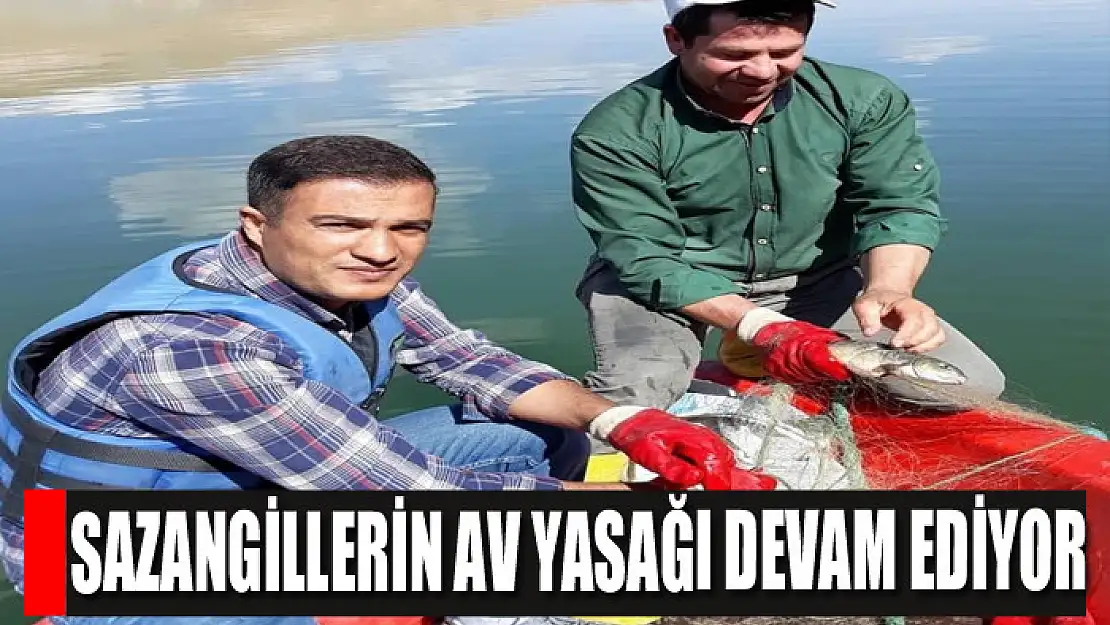 Sazangillerin av yasağı devam ediyor