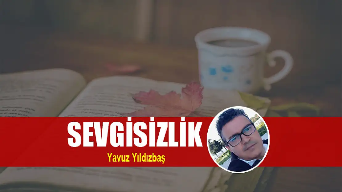 SEVGİSİZLİK