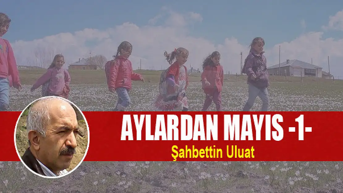 Aylardan Mayıs -1-