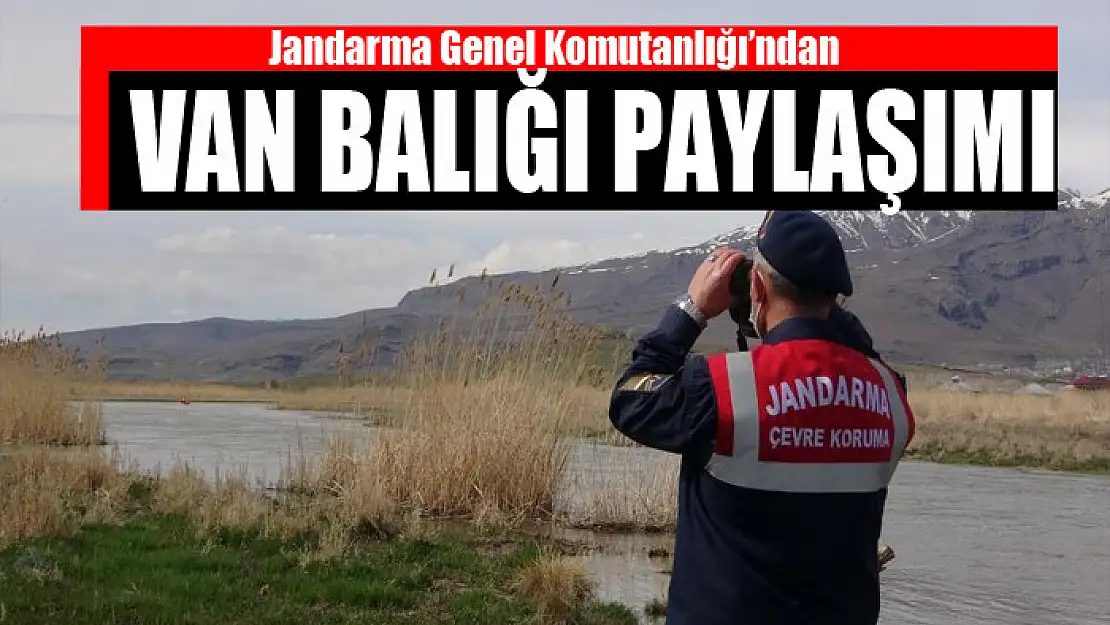 Jandarma Genel Komutanlığı'ndan Van balığı paylaşımı