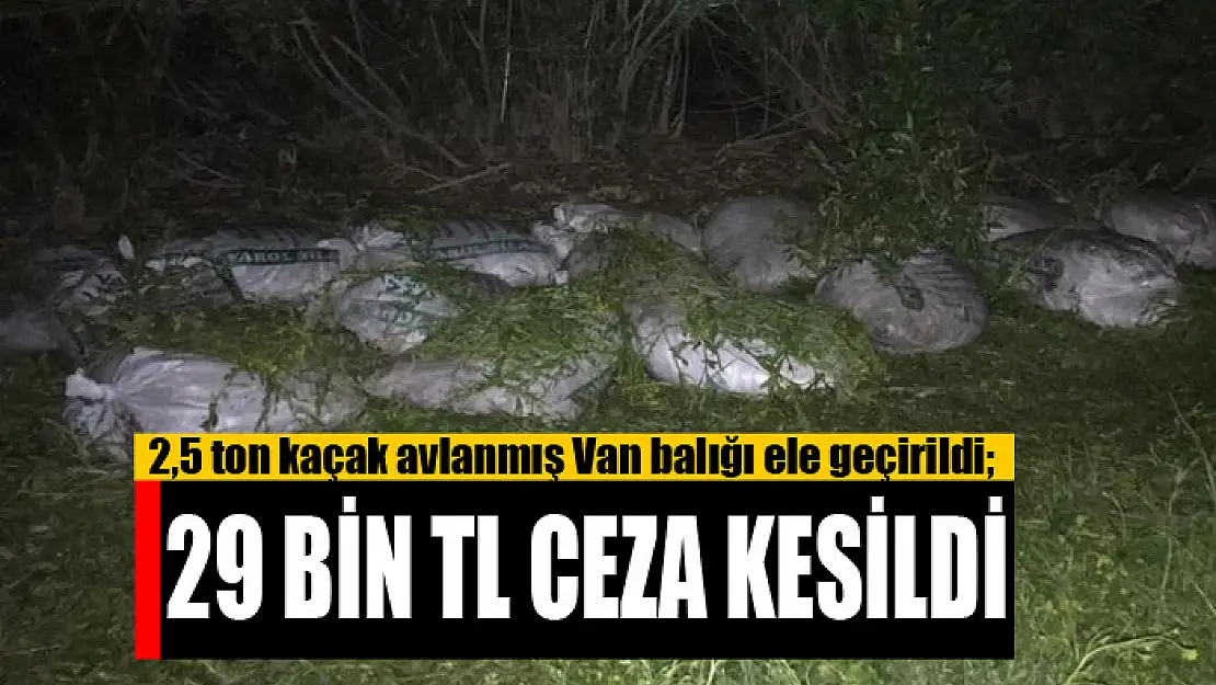 2,5 ton kaçak avlanmış Van balığı ele geçirildi 29 bin TL ceza kesildi