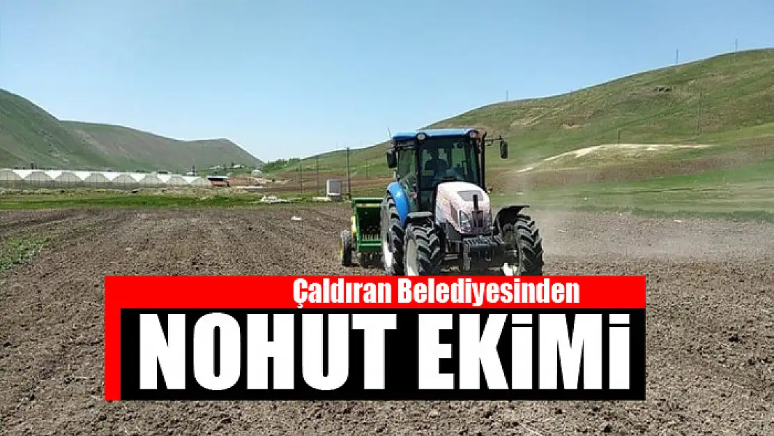 Çaldıran Belediyesinden nohut ekimi