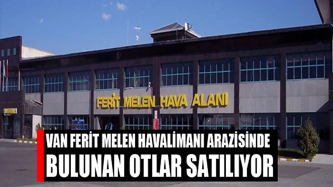 Van Ferit Melen Havalimanı arazisinde bulunan otlar satılıyor