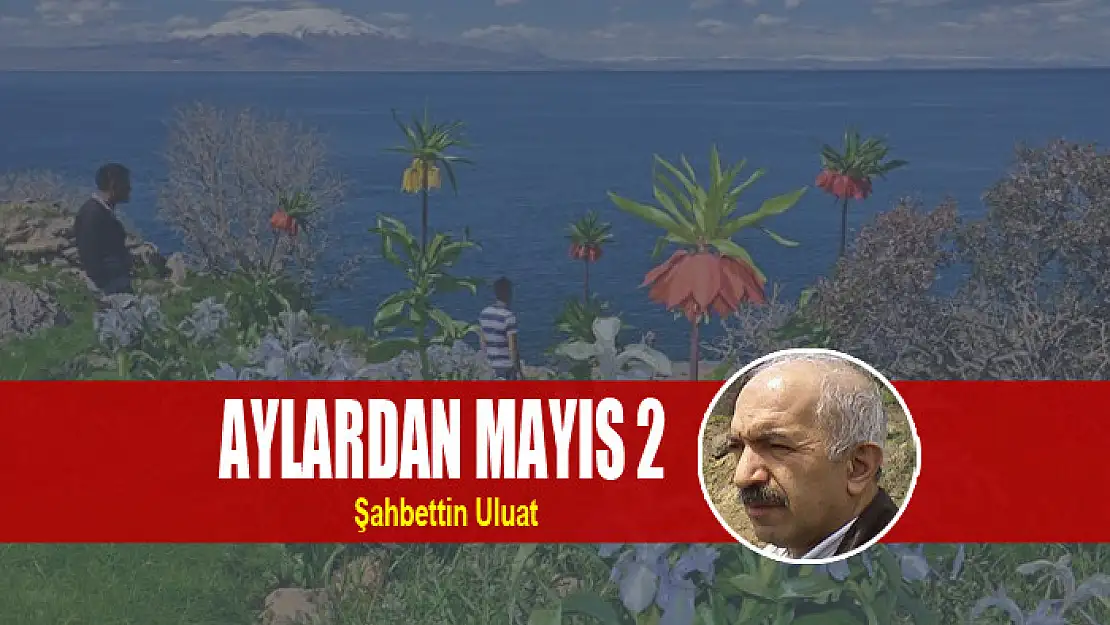 Aylardan Mayıs 2