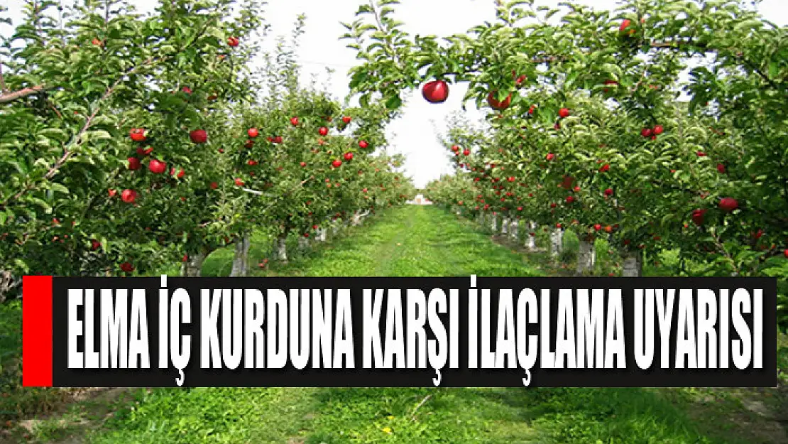 Elma iç kurduna karşı ilaçlama uyarısı