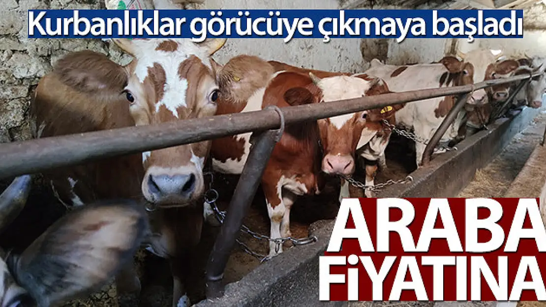 Araba fiyatına kurbanlıklar satışta