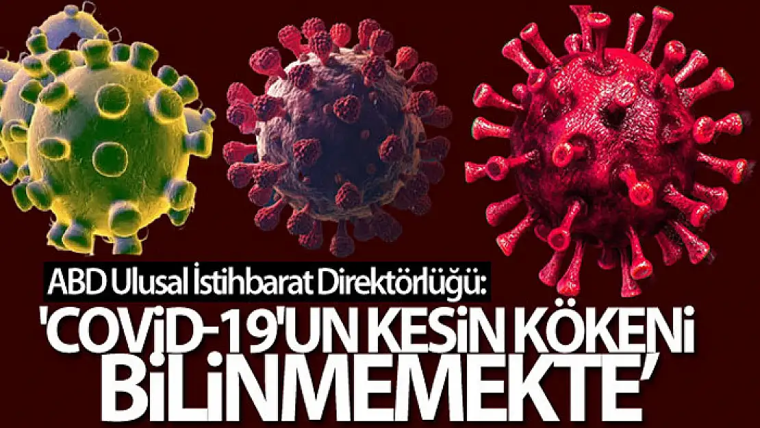 ABD Ulusal İstihbarat Direktörlüğü: 'Covid-19'un kesin kökeni şu anda bilinmemektedir'