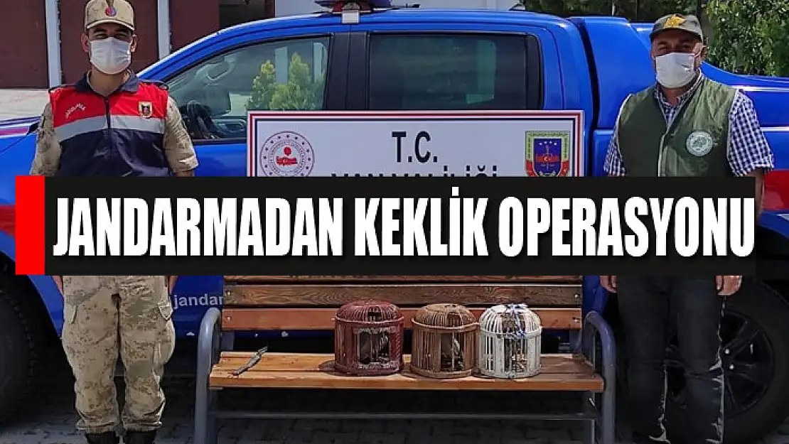 Jandarmadan keklik operasyonu