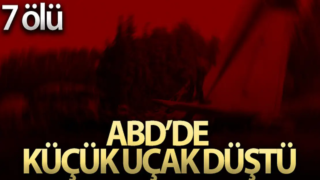 ABD'de küçük uçak düştü: 7 ölü