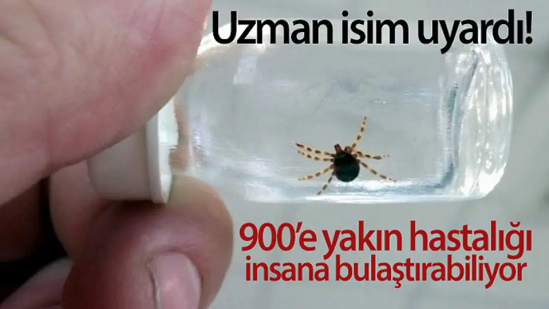 Uzman isim uyardı! 900'e yakın hastalığı insana bulaştırabiliyor