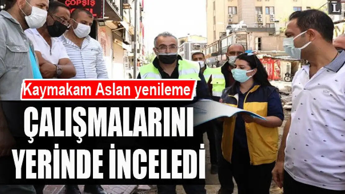 Kaymakam Aslan yenileme çalışmalarını inceledi