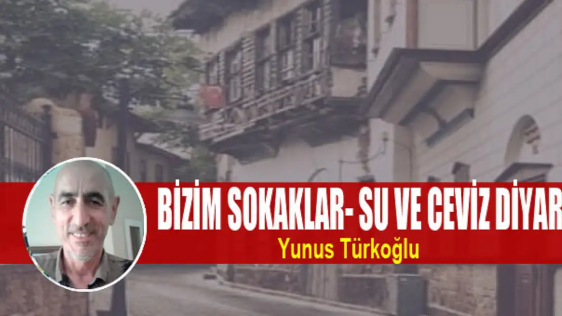 Bizim Sokaklar- Su ve Ceviz Diyarı