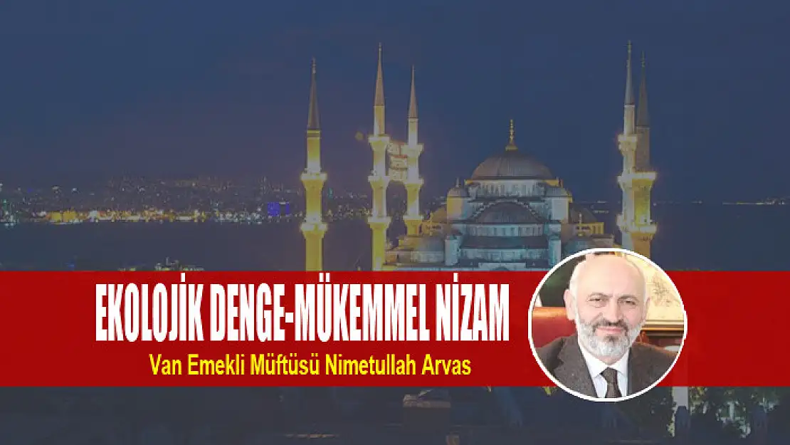 EKOLOJİK DENGE-MÜKEMMEL NİZAM