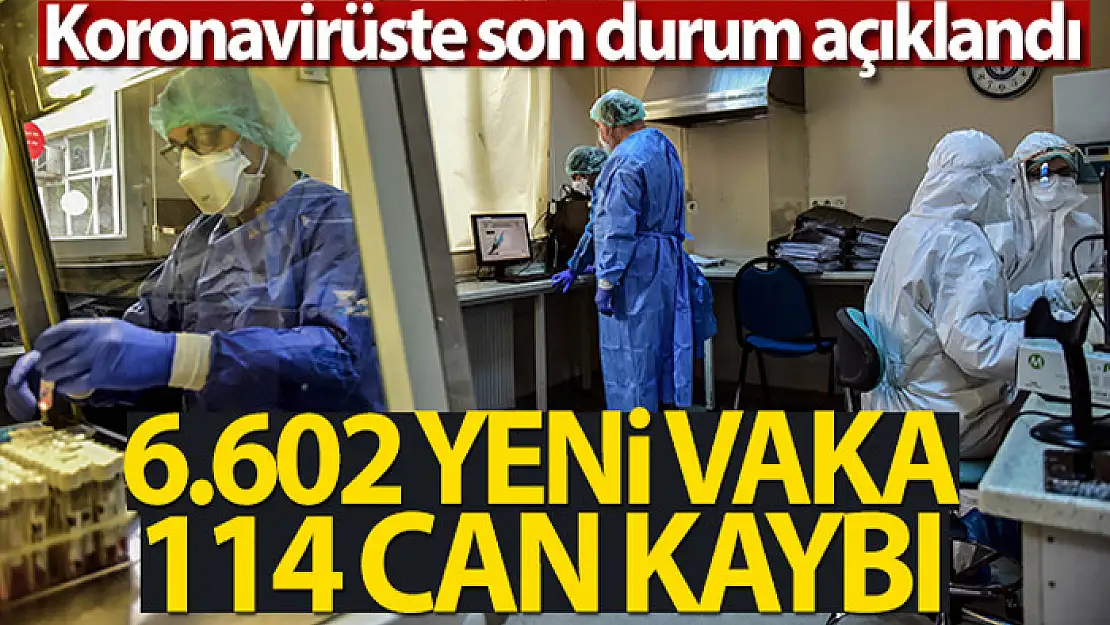 Türkiye'de son 24 saatte 6.602 koronavirüs vakası tespit edildi