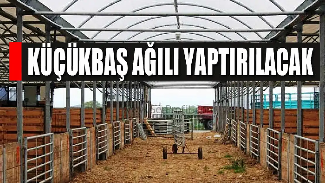 KÜÇÜKBAŞ AĞILI YAPTIRILACAK