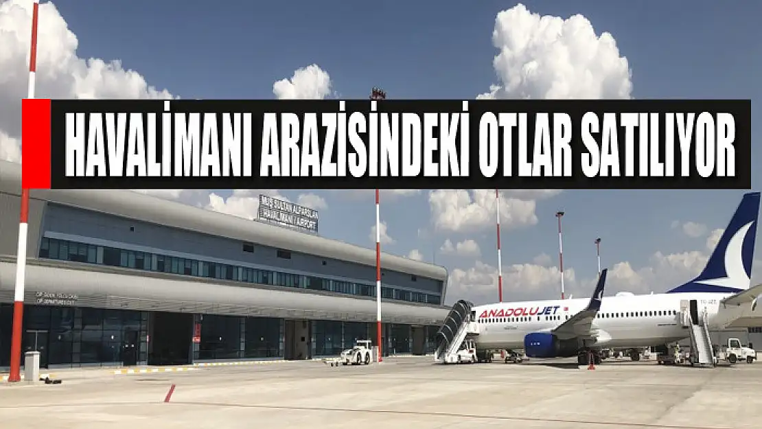 Havalimanı arazisindeki otlar satılıyor