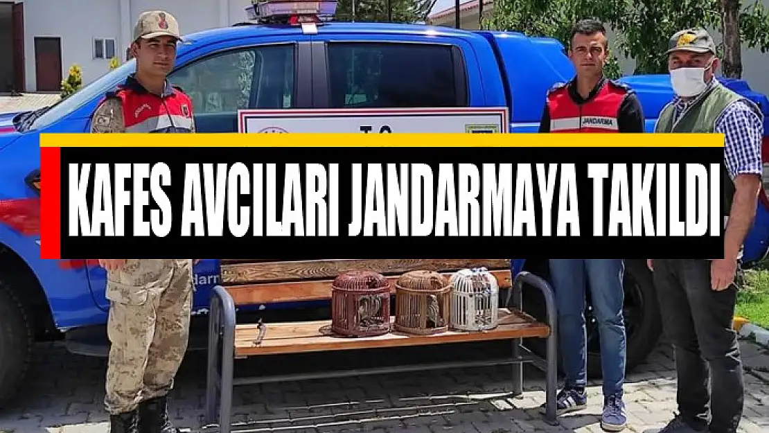 Kafes avcıları jandarmaya takıldı