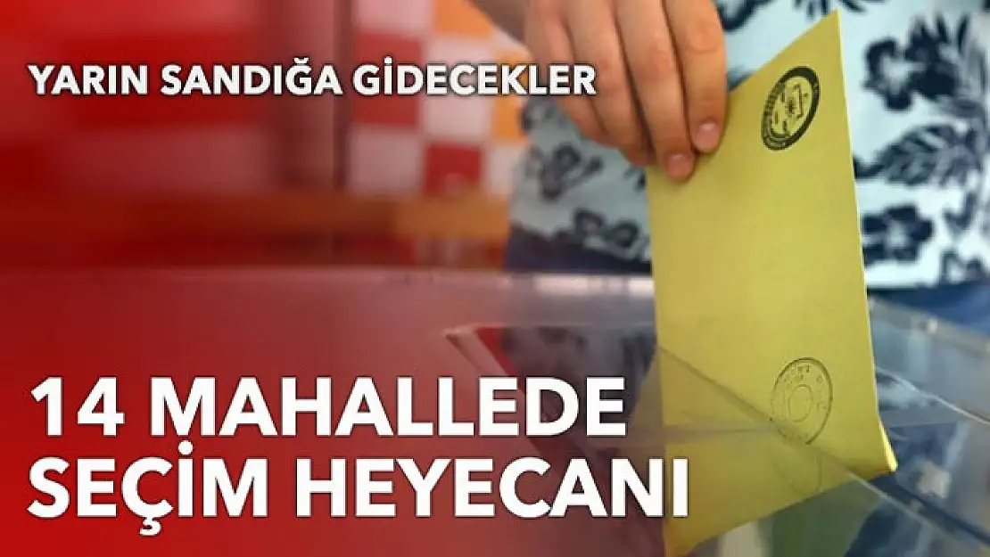 14 mahallede muhtarlık seçimi heyecanı