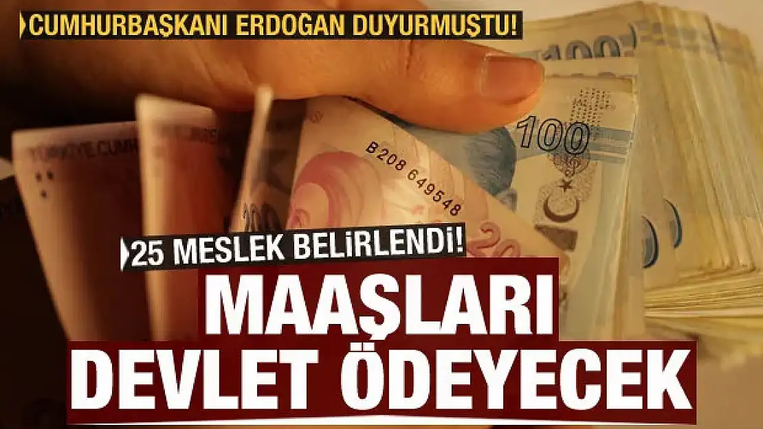 25 meslek belirlendi, ücretlerini devlet ödeyecek! Başkan Erdoğan açıklamıştı