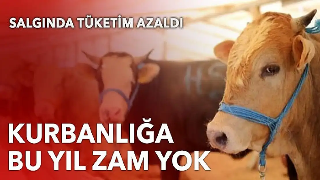 Kurbanlık fiyatlarına bu yıl zam yok