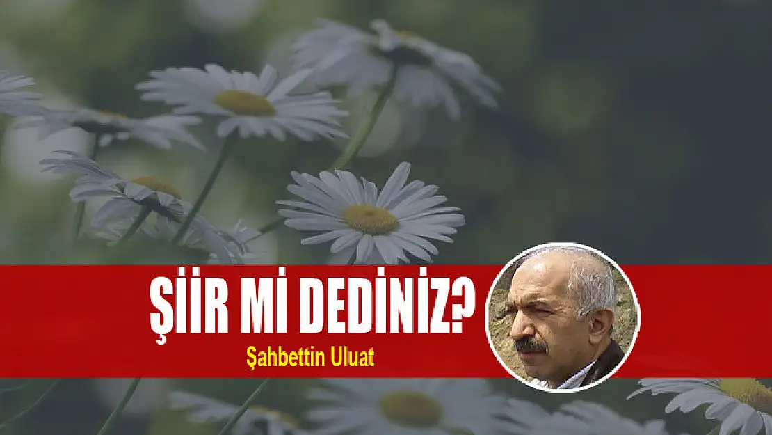 Şiir mi dediniz?