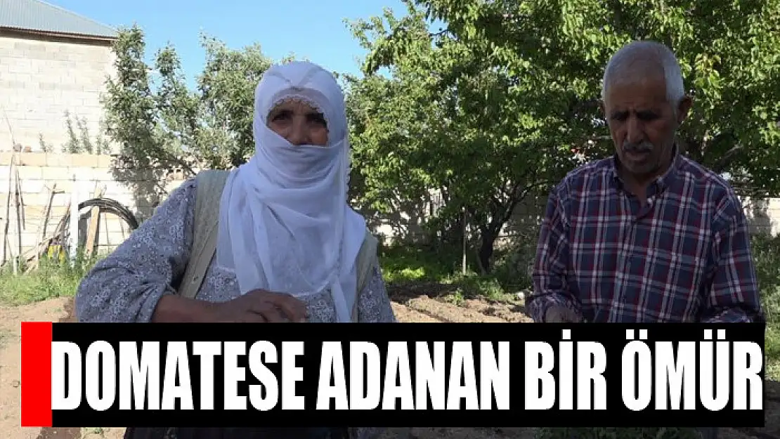 Domatese adanan bir ömür