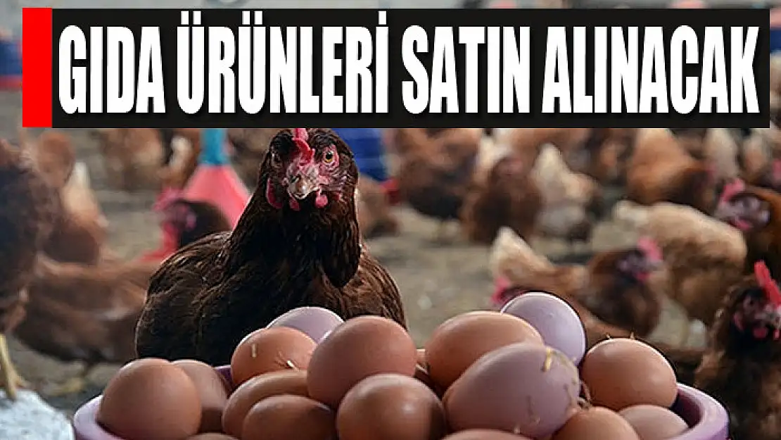 Gıda ürünleri satın alınacak