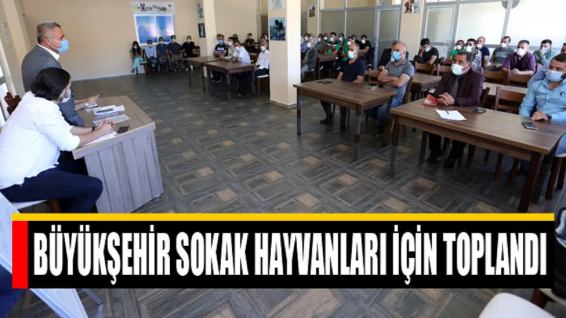 Büyükşehir sokak hayvanları için toplandı