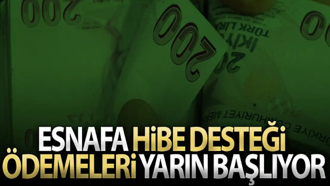 Esnafa hibe desteği ödemeleri yarın başlıyor