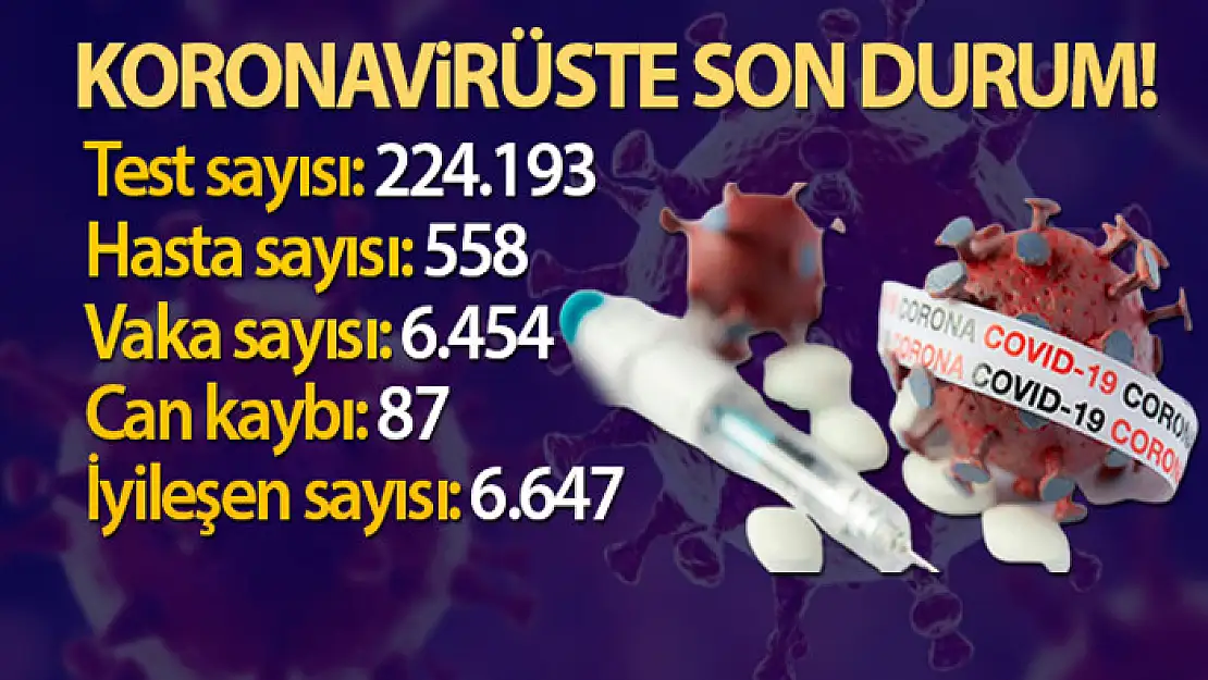 Türkiye'de son 24 saatte 6.454 koronavirüs vakası tespit edildi