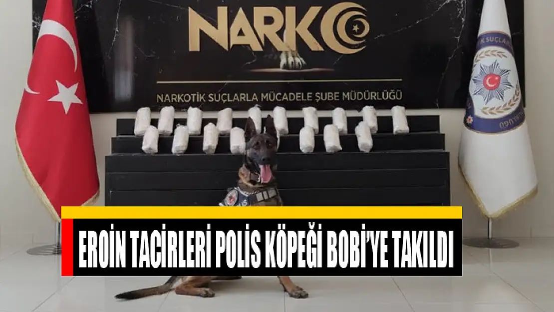 EROİN TACİRLERİ POLİS KÖPEĞİ BOBİ'YE TAKILDI