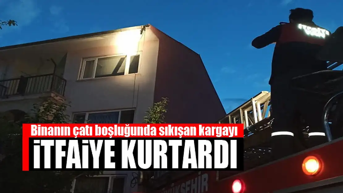 Binanın çatı boşluğunda sıkışan kargayı itfaiye kurtardı