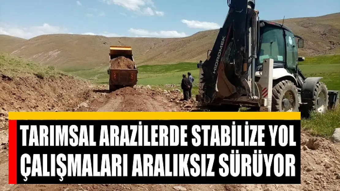 Tarımsal arazilerde stabilize yol çalışmaları aralıksız sürüyor