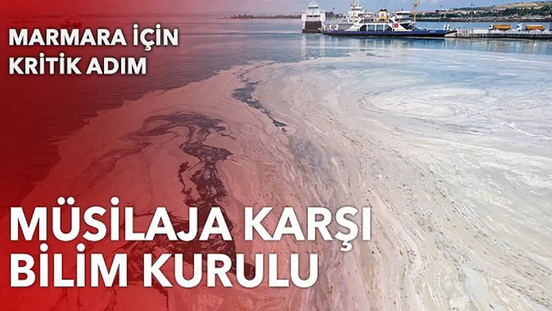 Müsilaj için özel kurul