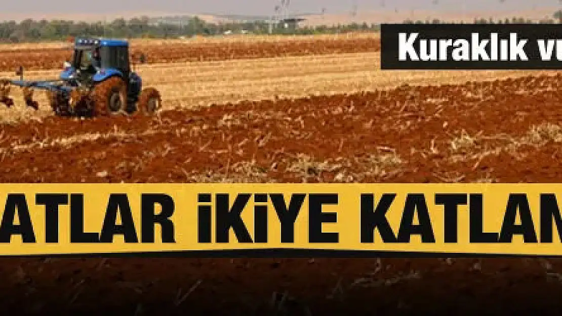 Kuraklık etkisi: Saman fiyatları ikiye katlandı