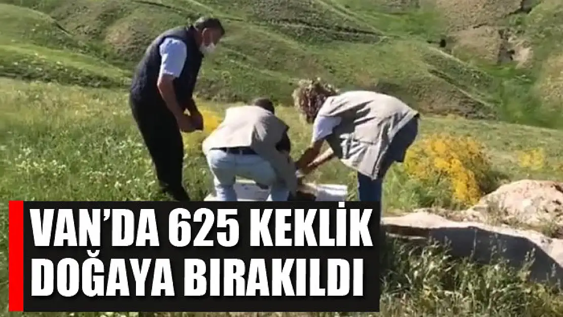 Van'da 625 keklik doğaya bırakıldı