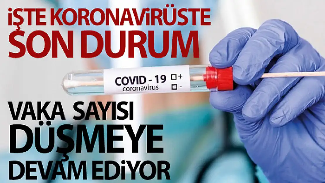 Koronavirüste son veriler paylaşıldı