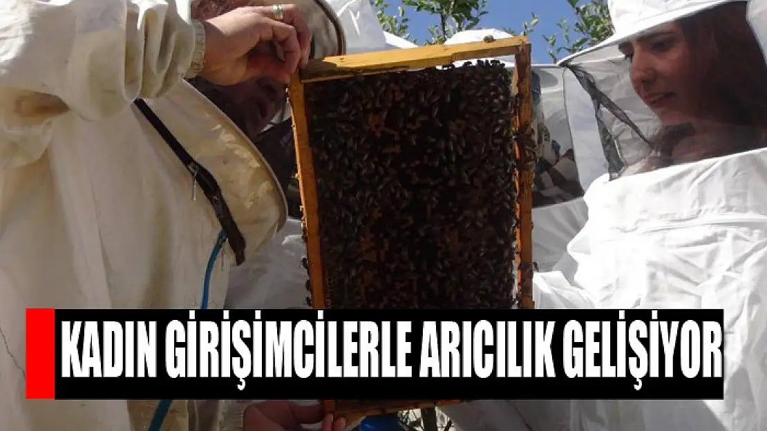 Kadın girişimcilerle arıcılık gelişiyor