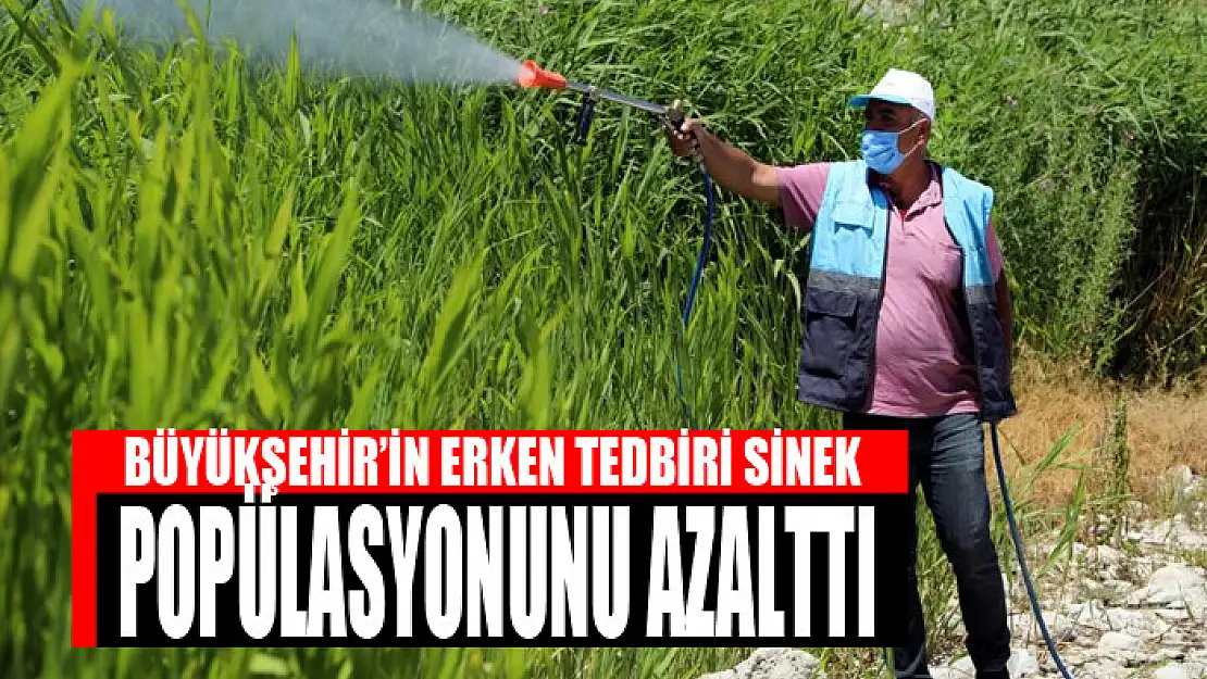 BÜYÜKŞEHİR'İN ERKEN TEDBİRİ SİNEK POPÜLASYONUNU AZALTTI