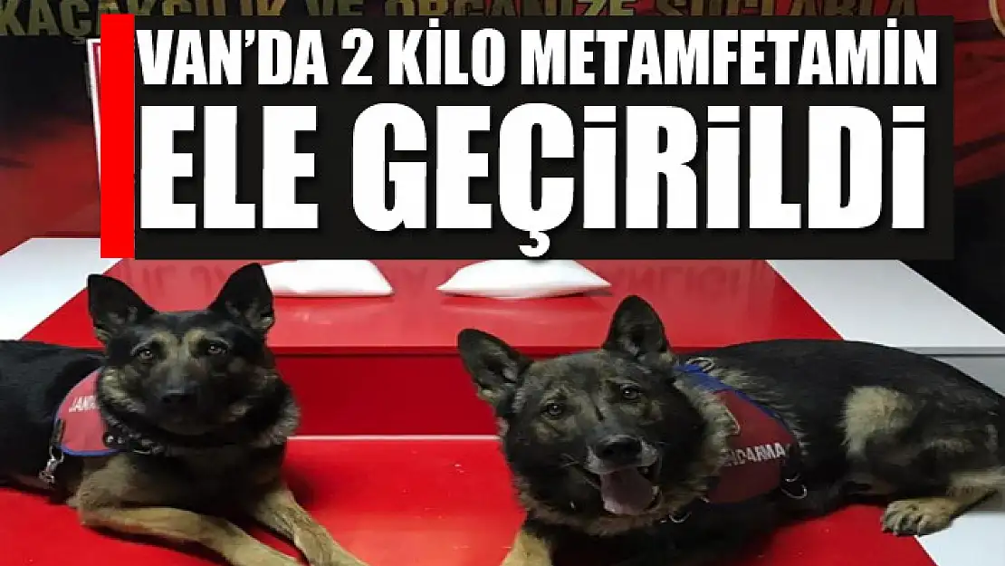 Van'da 2 kilo metamfetamin ele geçirildi