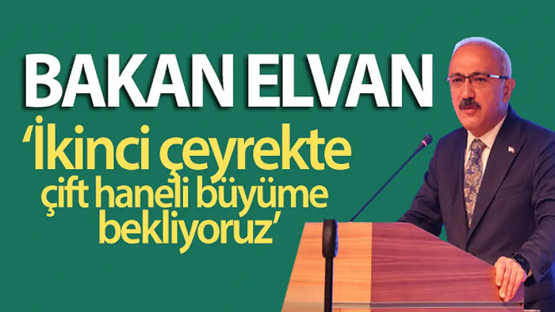 Bakan Elvan: İkinci çeyrekte çift haneli büyüme bekliyoruz