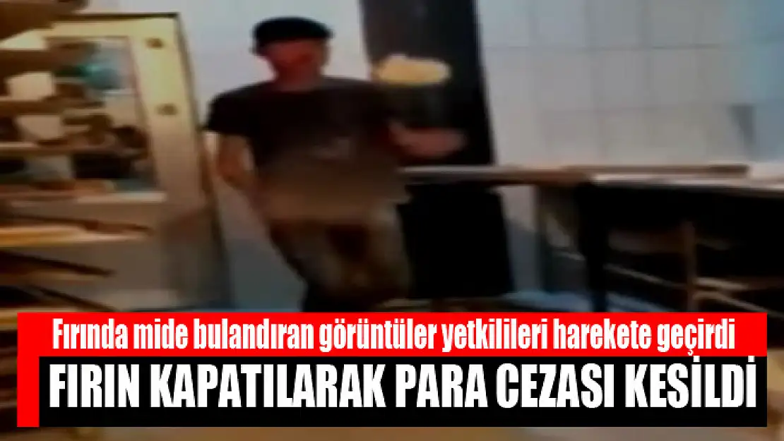 Erciş'teki fırında mide bulandıran görüntü