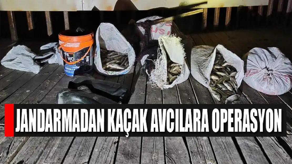 Jandarmadan kaçak avcılara operasyon