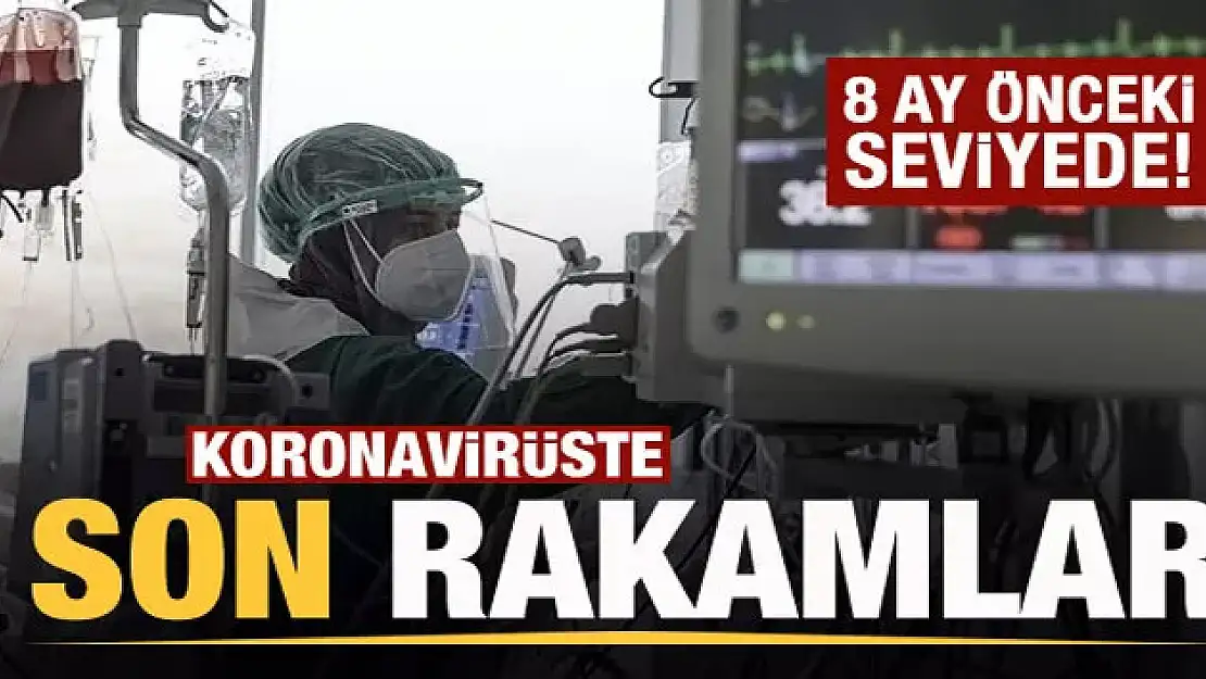 3 Temmuz koronavirüs tablosu! Vaka, Hasta, ölü sayısı ve son durum açıklandı