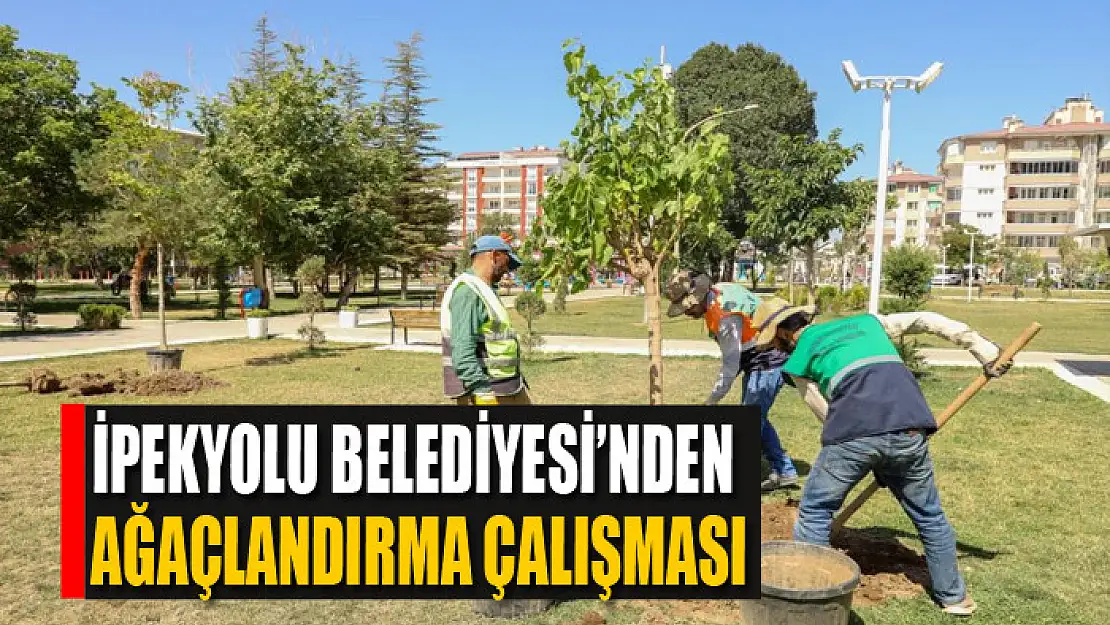 İPEKYOLU BELEDİYESİ'NDEN AĞAÇLANDIRMA ÇALIŞMASI