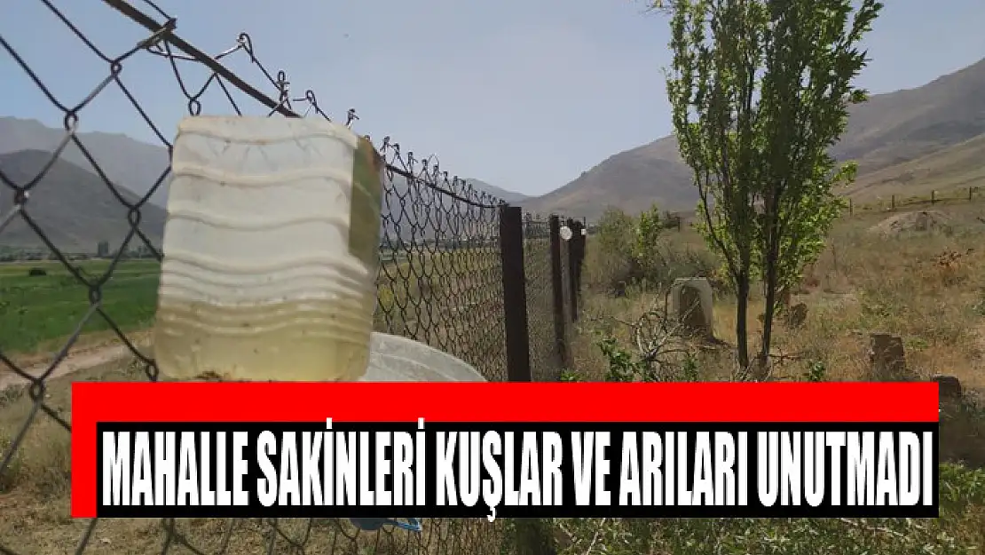 Mahalle sakinleri kuşlar ve arıları unutmadı