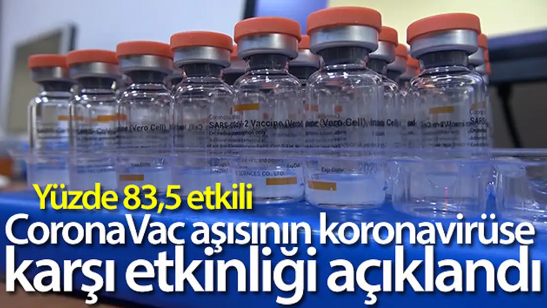 CoronaVac aşısı Covid-19'a karşı yüzde 83,5 etkili