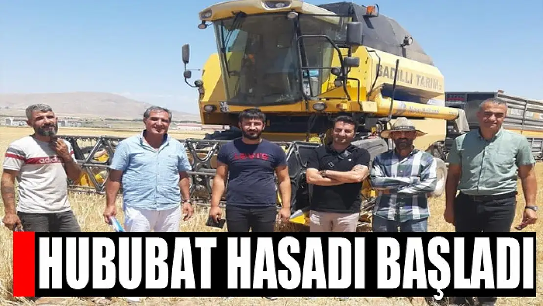 Hububat Hasadı Başladı