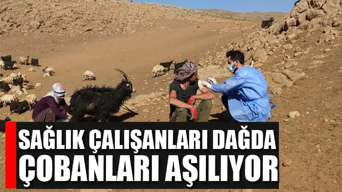 Sağlık Çalışanları Dağda Çobanları Aşılıyor